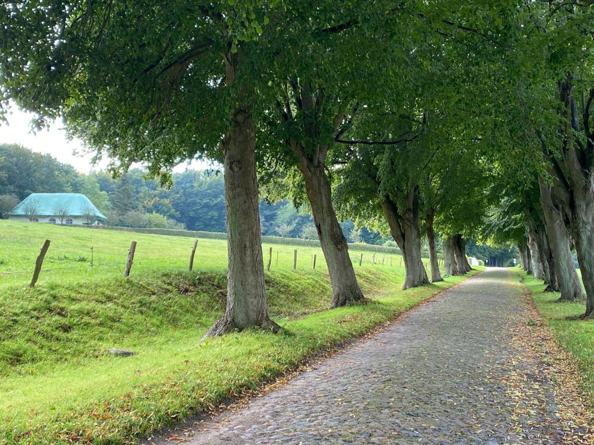 Ferienwohnungen Arkonablick Lohme Exterior foto