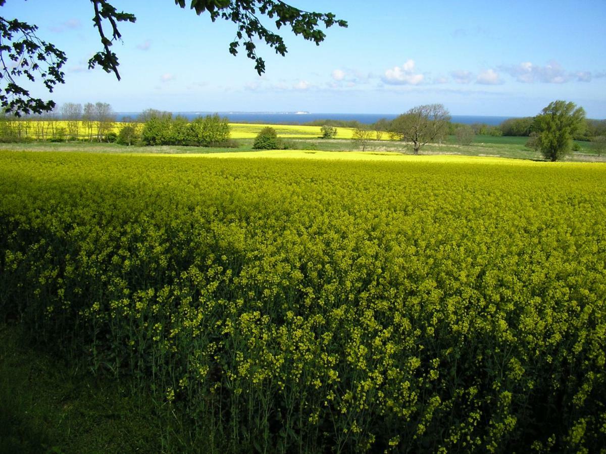 Ferienwohnungen Arkonablick Lohme Exterior foto